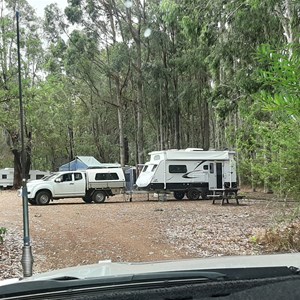 View of campers up the back in the trees