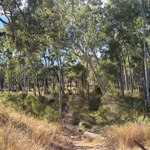 Norwood Creek day use area