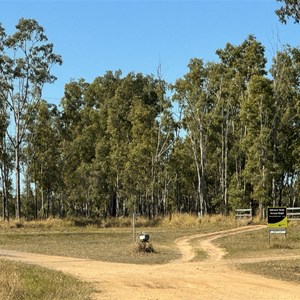 Access to Salvatore Rosa