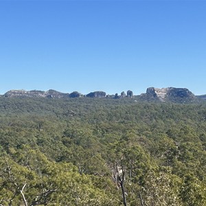Homoranthus Hill