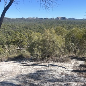 Homoranthus Hill