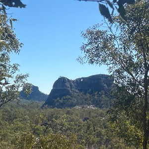 Homoranthus Hill