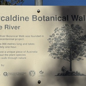 Botanical Walk