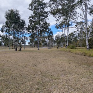 Tansey Grassed Area