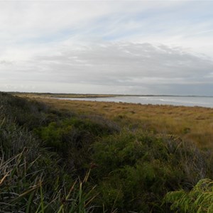 River mouth at Augusta
