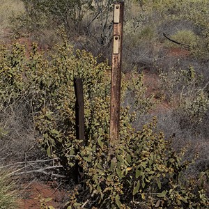 Seismic shot line marker