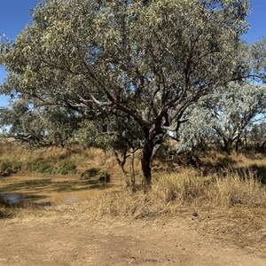 Cragg Family Bridge - Mistake Creek