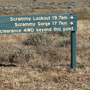 Tourist Drive