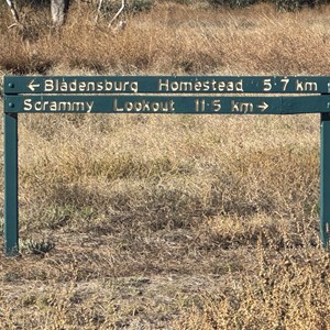 Scrammy Drive Junction