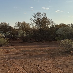 Unofficial Bush Camp