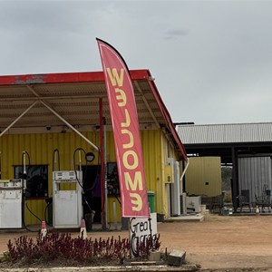 The Servo