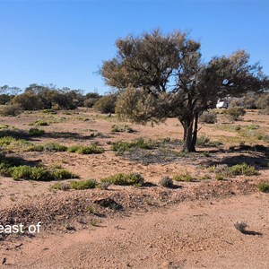 Bush camp