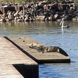 Glenore Weir