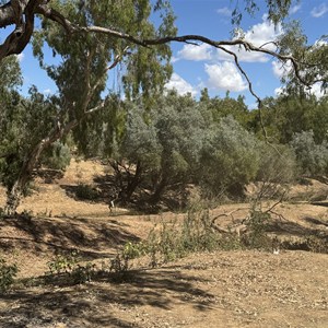 Walker Creek