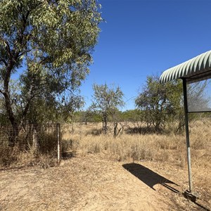 Landsborough Tree