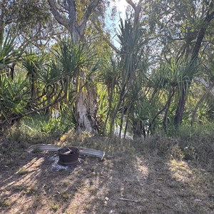 Kangaroo Creek Camp 1