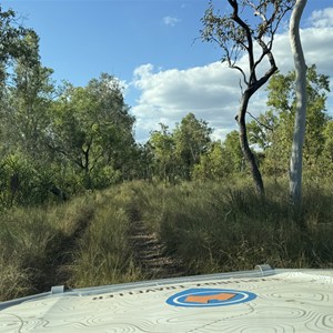 Kangaroo Creek Camp 1