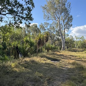 Kangaroo Creek Camp 1