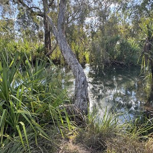 Kangaroo Creek Camp 1