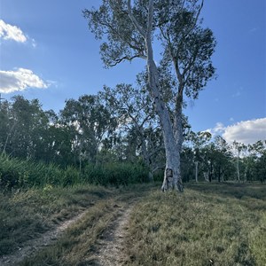 Kangaroo Creek Camp 1