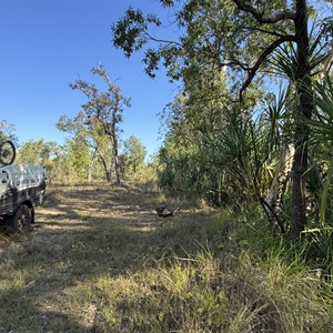 Kangaroo Creek Camp 1