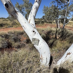 Well 45 (Juntijinti)