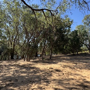 Rocky Bar Crossing