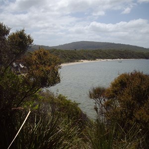 Coal mine Beach from Lookout