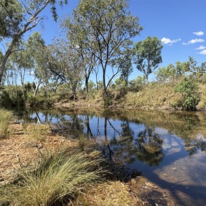 Waterhole