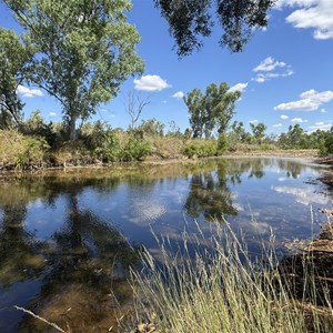 Gunturungjawuni / Police Creek Waterhole