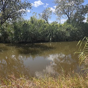 Hicks Creek Rockbar Camp