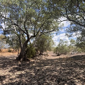 Hicks Creek Rockbar Camp