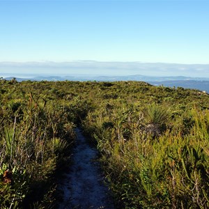 Trail to Mt Lindesay