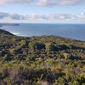 West Cape Howe (from West Cape Howe Hut - Bibbulmun Track)