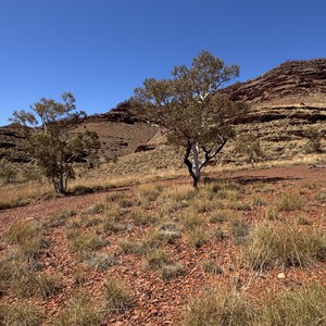 Remote bush camp