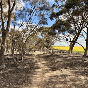 Exploring campsite and 600 acre private property