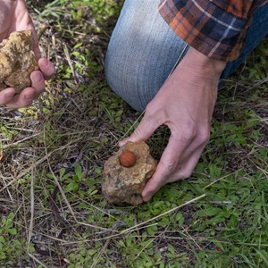 Exploring campsite and 600 acre private property