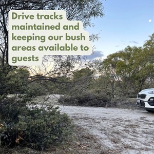 Drive & walk tracks