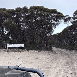 Junction on Tele track for bronze whaler bay