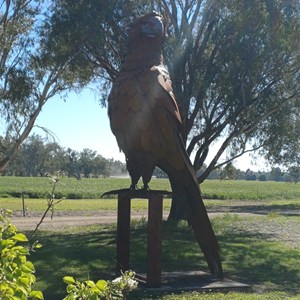 The big eagle