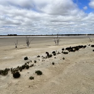 KondininLake Information Board