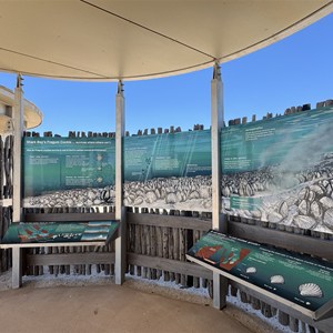 Shell Beach