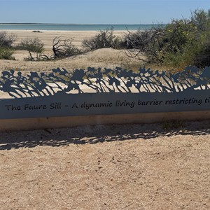 Shell Beach