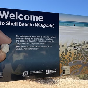 Shell Beach