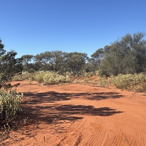 Informal bush camp