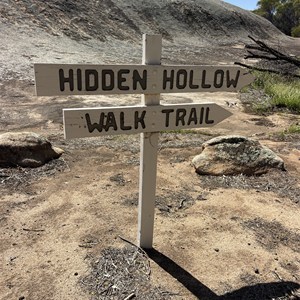 Hidden Hollow