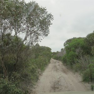 Narrow access track