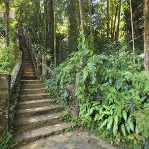 Paronella Park