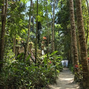 Paronella Park