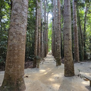 Paronella Park